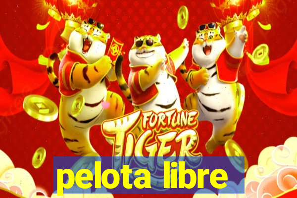 pelota libre
